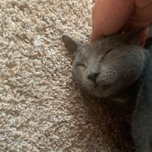 Meet your Posher, Christian